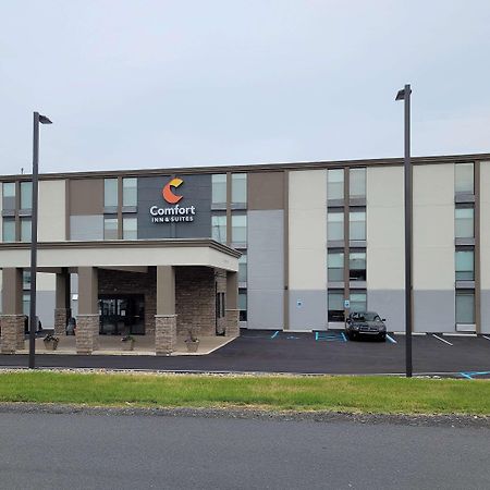 Comfort Inn & Suites Wyomissing-Reading מראה חיצוני תמונה