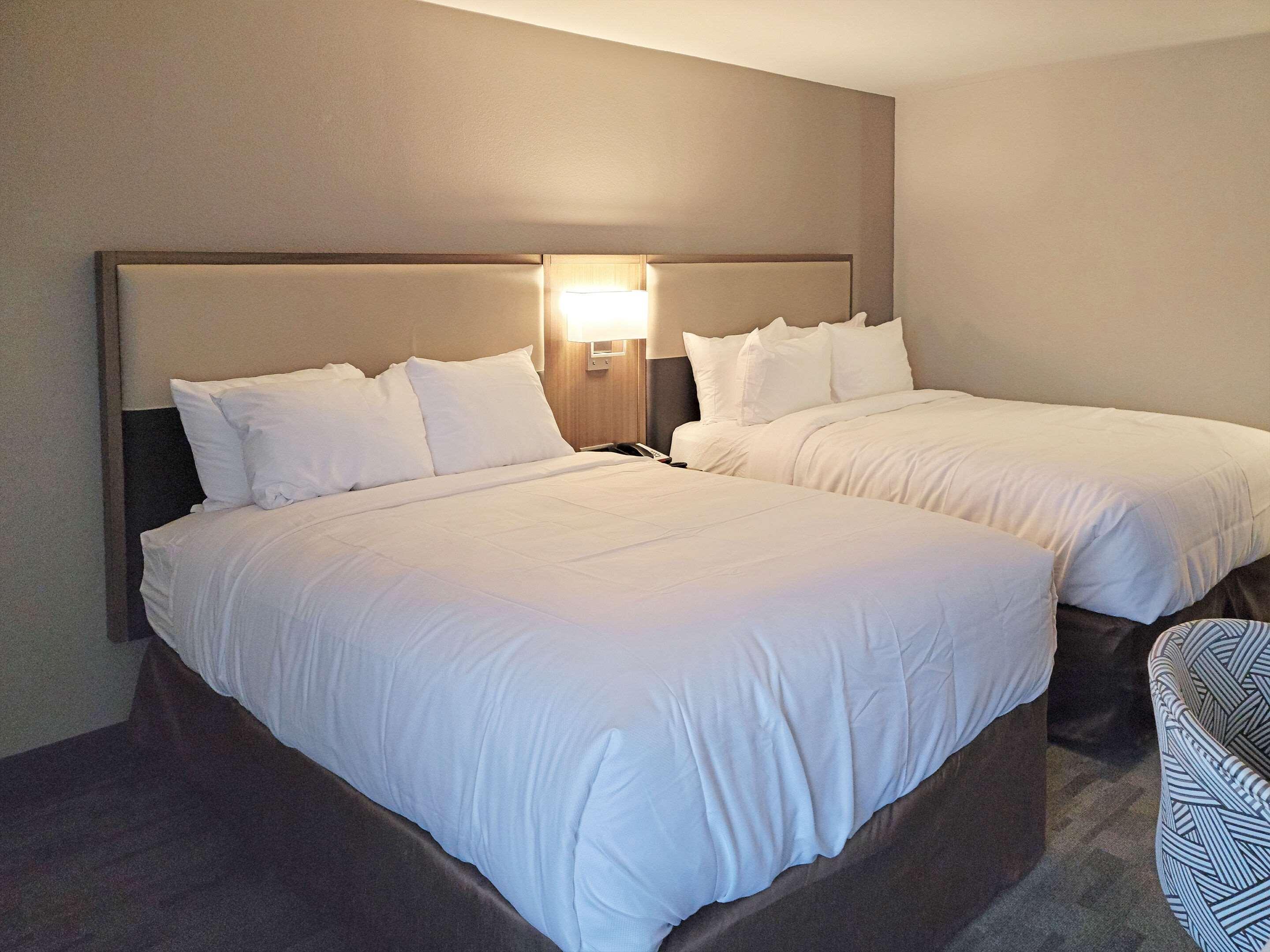 Comfort Inn & Suites Wyomissing-Reading מראה חיצוני תמונה
