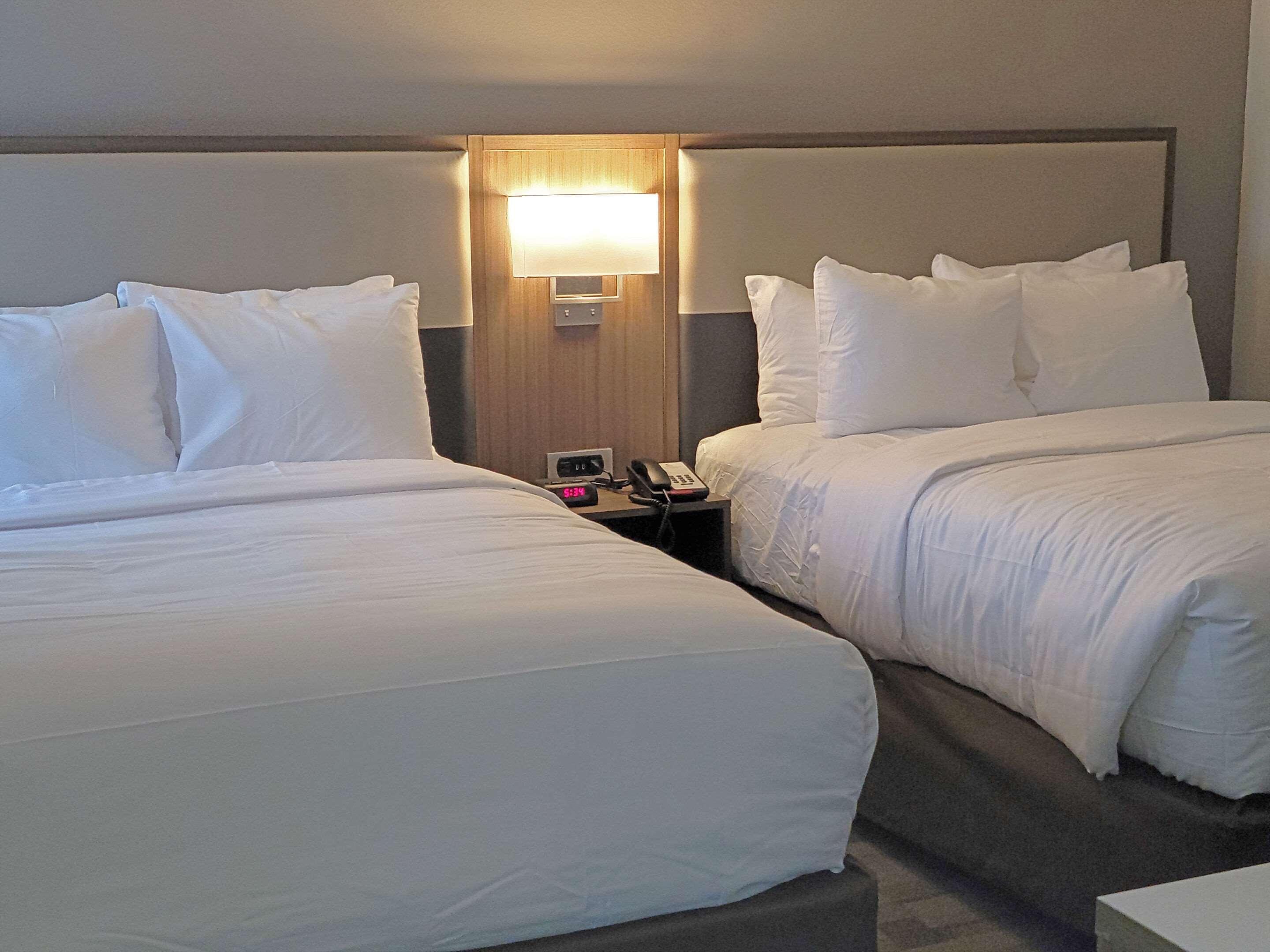 Comfort Inn & Suites Wyomissing-Reading מראה חיצוני תמונה